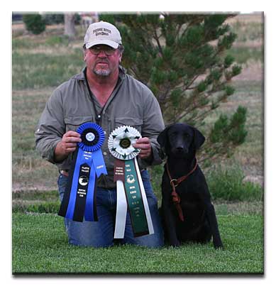 Alice ribbons and title