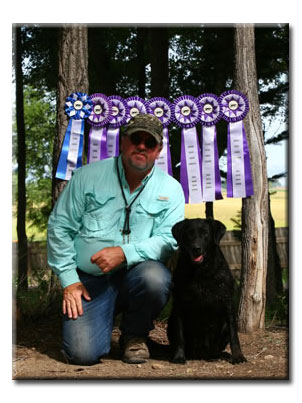 Delta 4X GMPR ribbons