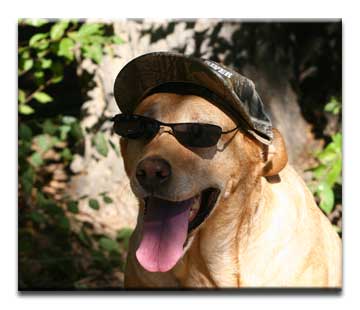 Sally SHades and PRG hat